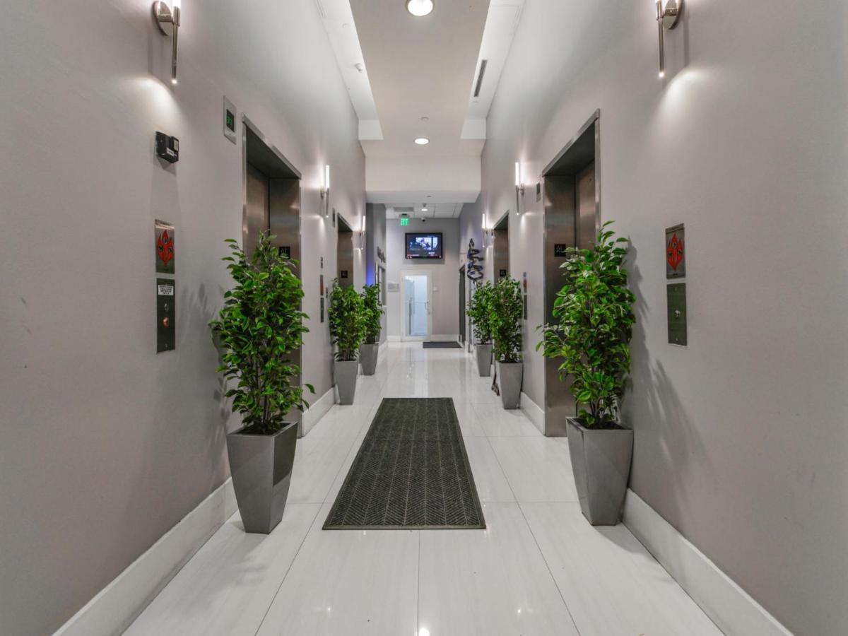 מיאמי Gorgeous Apartment In Brickell מראה חיצוני תמונה